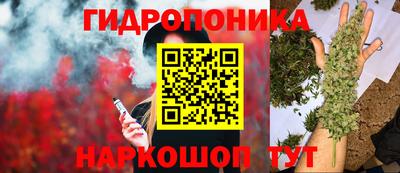 трава Комсомольск-на-Амуре