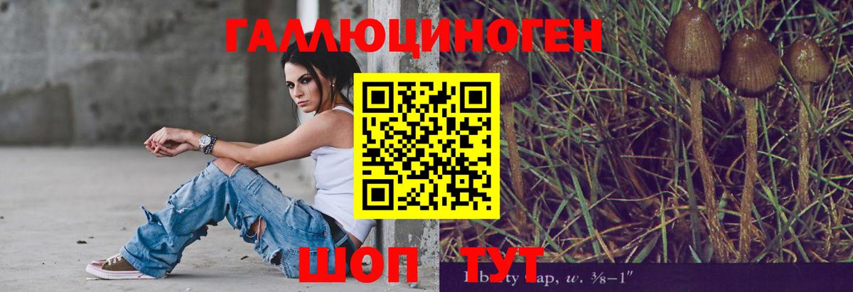 Псилоцибиновые грибы MAGIC MUSHROOMS  Псилоцибиновые грибы прущие грибы  Каспийск  Вход с VPN 